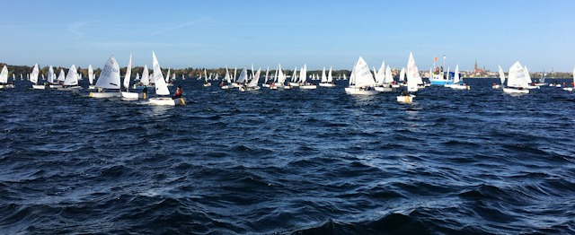 Foto: Johannes Steinmüller