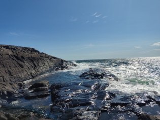 Foto: Rhea Leonhardt-Ebeling