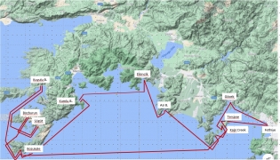 242 sm in 12 Seetagen